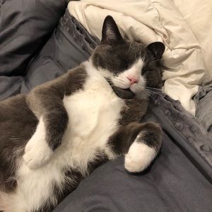 Meet your Posher, Allison